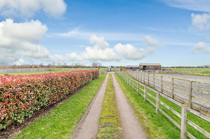 equestrian property stables