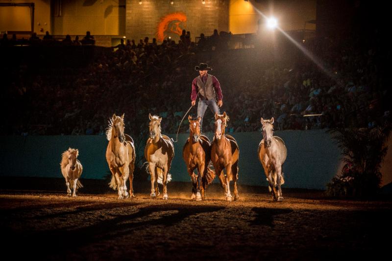 open day WEG