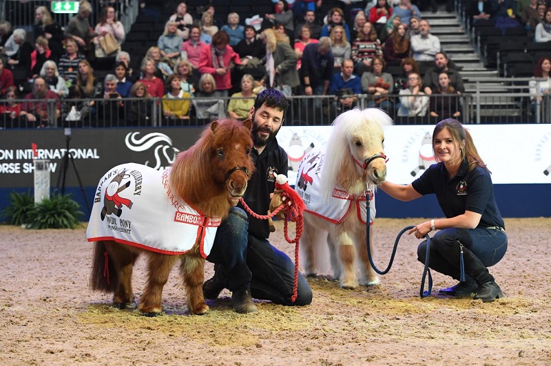 willberry shetlands olympia 2017